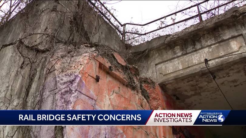 Bridge Safety Report