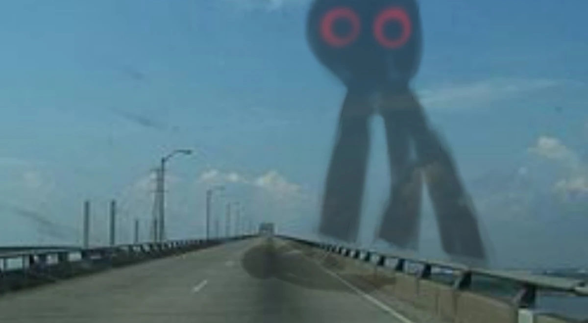 Bridge Watcher