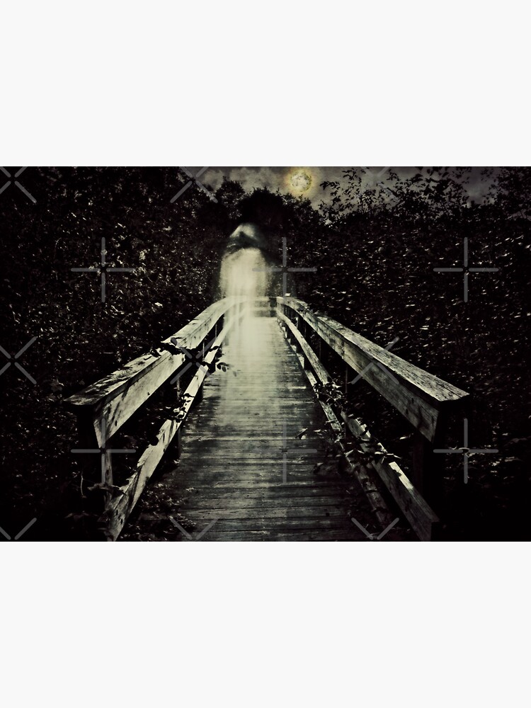 The Bridge Watcher's