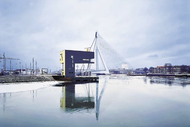 The Bridge Watcher's