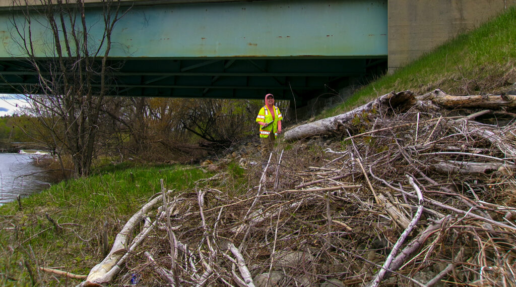 Bridge Safety Report